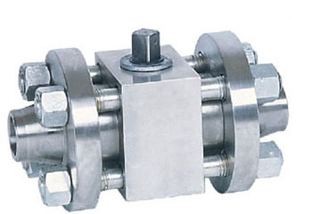 Q41N�߉�������y